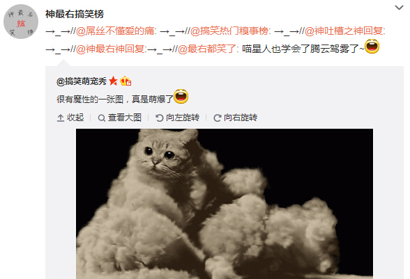 微博神最右盘点第104弹(12)