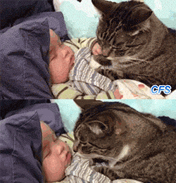 萌娃与保姆版喵星人搞笑GIF(6)