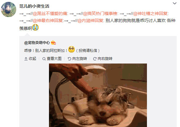 微博神最右盘点第109弹(11)