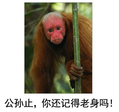 微博恶搞日式冷吐槽第四十五弹(5)