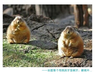 那些神一样的配文搞笑图片2(9)