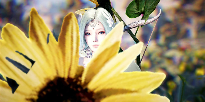 《黑色沙漠》游戏软妹图赏(15)