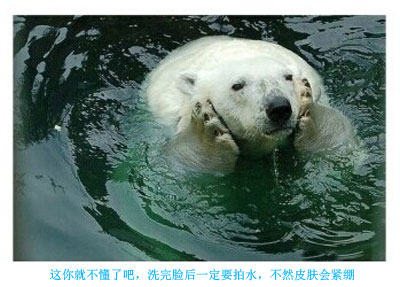 那些神一样的配文搞笑图片2(4)