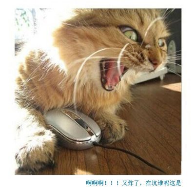 那些神一样的配文搞笑图片2(8)