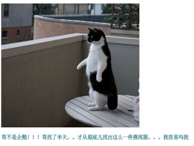 那些神一样的配文搞笑图片2(7)