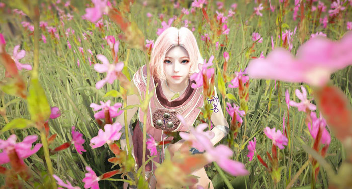 《黑色沙漠》游戏软妹图赏(16)