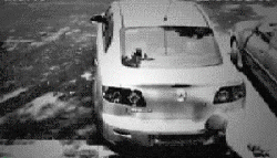 机智的小偷搞笑GIF(5)