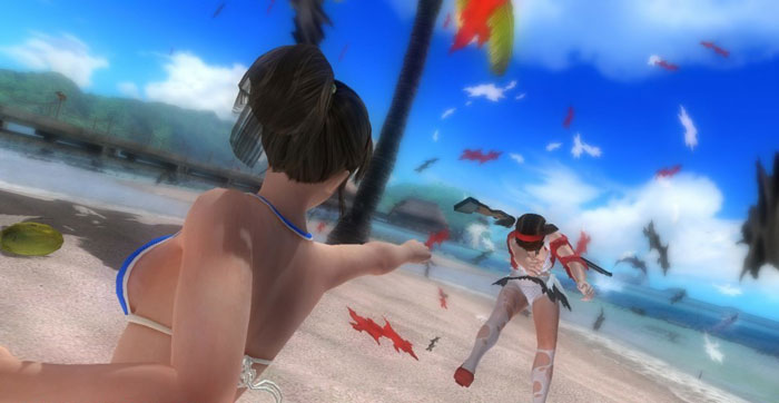 《死或生5》萌妹爆衣诱人图赏2(15)