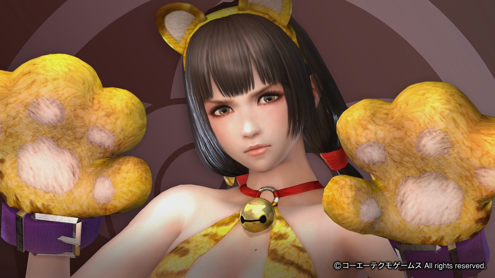 《战国无双4-2》游戏美女官方壁纸(2)