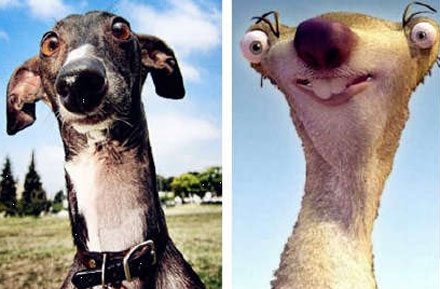 全球趣图精选第64弹(2)