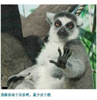 那些神一样的配文搞笑图片2(2)