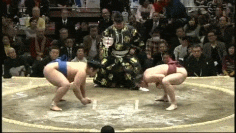 囧雷傻缺GIF图系列142(10)