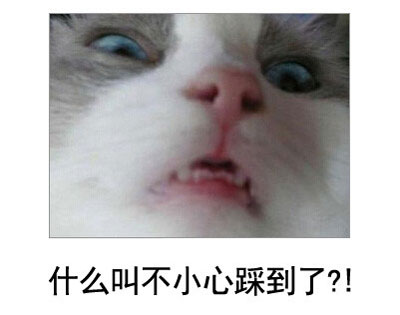 微博恶搞日式冷吐槽第四十七弹(4)