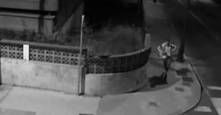 机智的小偷搞笑GIF(3)