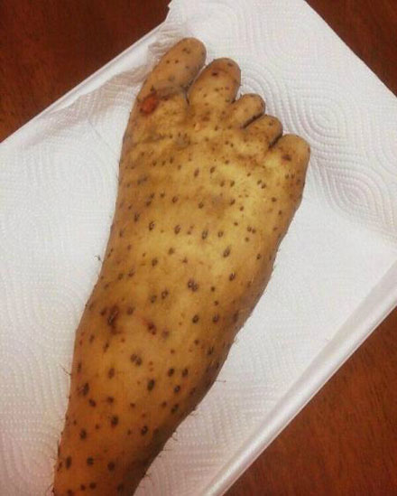 全球趣图精选第64弹(5)