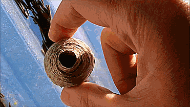 囧雷傻缺GIF图系列144(12)