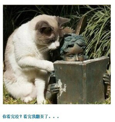 那些神一样的配文搞笑图片2(3)