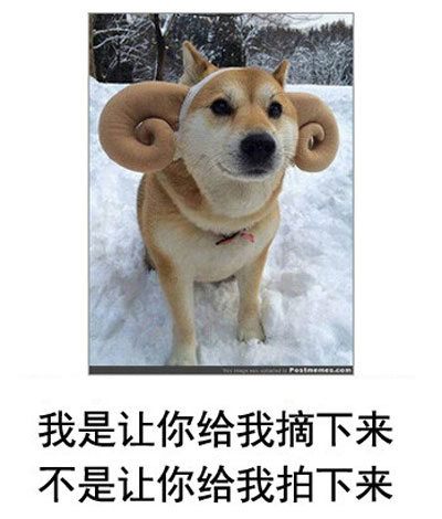 微博恶搞日式冷吐槽第四十六弹(11)