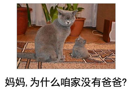 微博恶搞日式冷吐槽第五十弹(10)