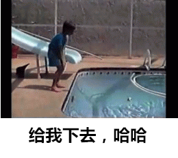 霸气侧漏的喵星人搞笑GIF(4)