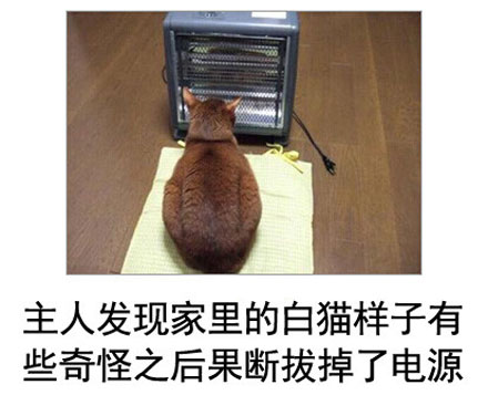 微博恶搞日式冷吐槽第四十八弹(13)