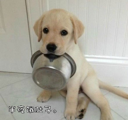 微博趣图 人生九大酷刑(6)