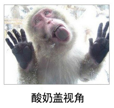 微博恶搞日式冷吐槽第四十九弹(5)