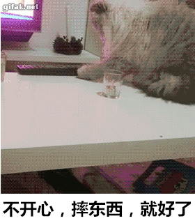 霸气侧漏的喵星人搞笑GIF(9)