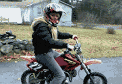 不作死就不会死GIF图系列20