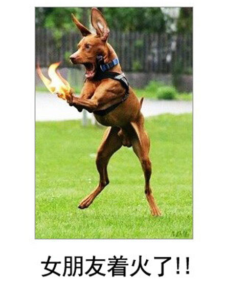 微博恶搞日式冷吐槽第四十九弹(2)