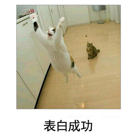 微博恶搞日式冷吐槽第五十弹(7)