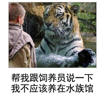 微博恶搞日式冷吐槽第五十弹(9)