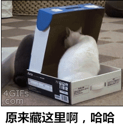 霸气侧漏的喵星人搞笑GIF(8)