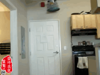 愚人节必备技能整人搞笑GIF(9)