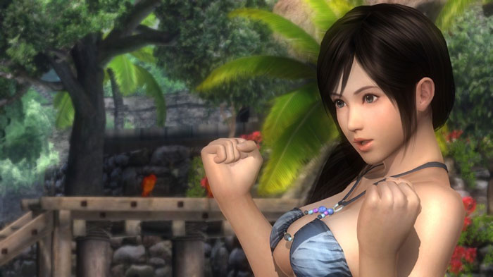 《死或生5》PC版高清截图(3)