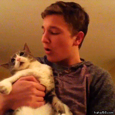 拒绝主人亲吻的傲娇萌宠GIF(2)