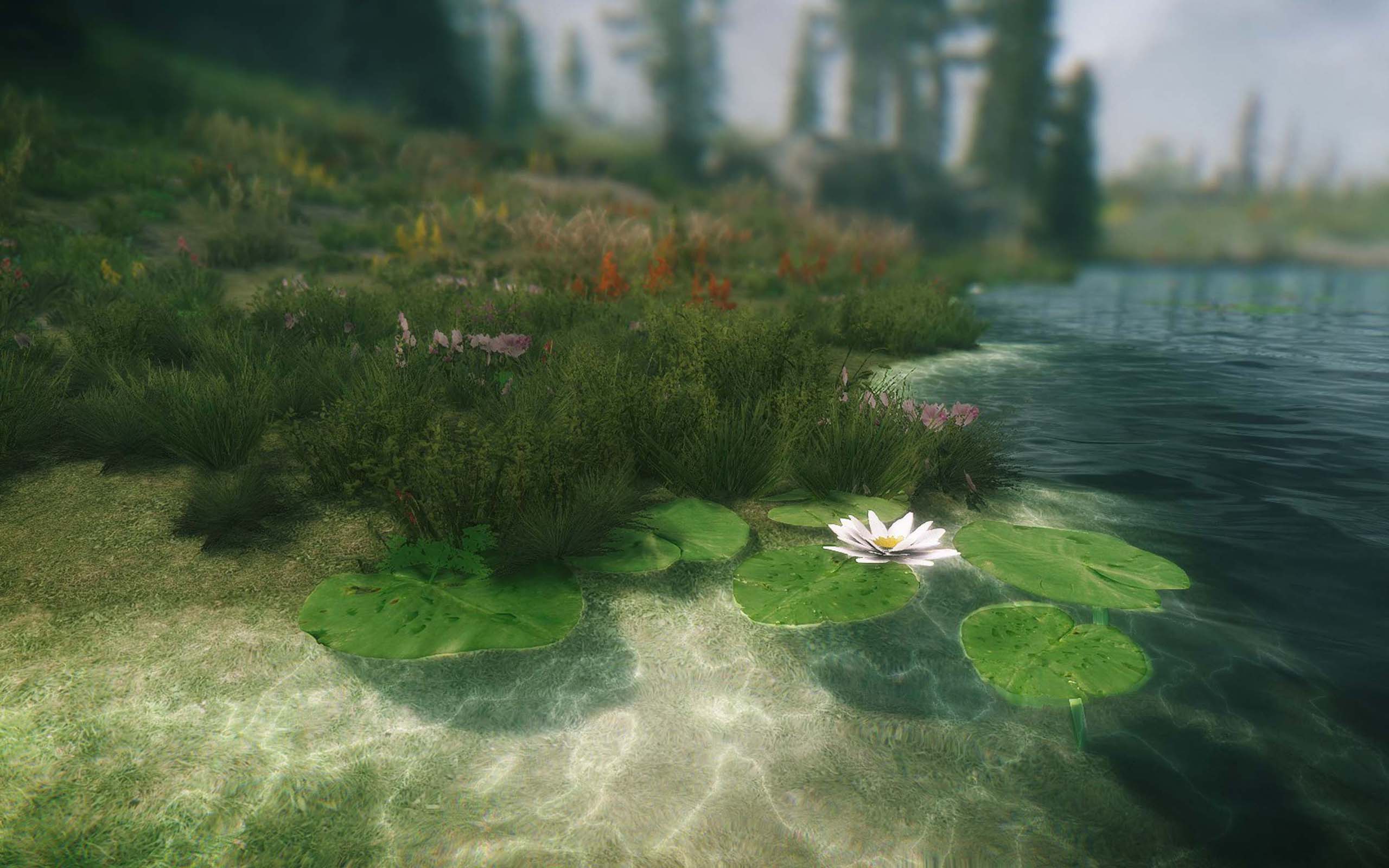 《上古卷轴5：天际》游戏场景壁纸(8)