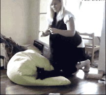 逗比萌宠和二货主人日常搞笑GIF