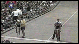 猪一样的队友系列爆笑GIF二(5)