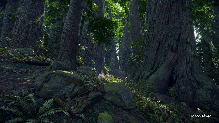 《全境封锁》游戏高清截图(11)