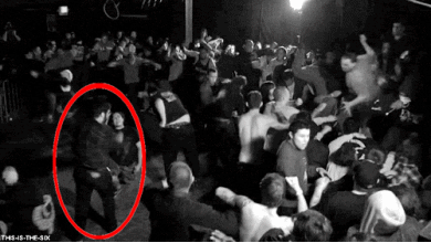 猪一样的队友系列爆笑GIF二(6)