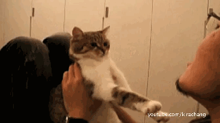 拒绝主人亲吻的傲娇萌宠GIF(6)