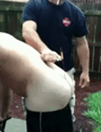 猪一样的队友系列爆笑GIF(5)