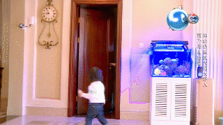 国民闺女贾云馨搞笑GIF合辑(22)