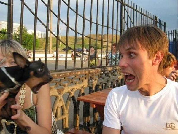 全球趣图精选第65弹(14)