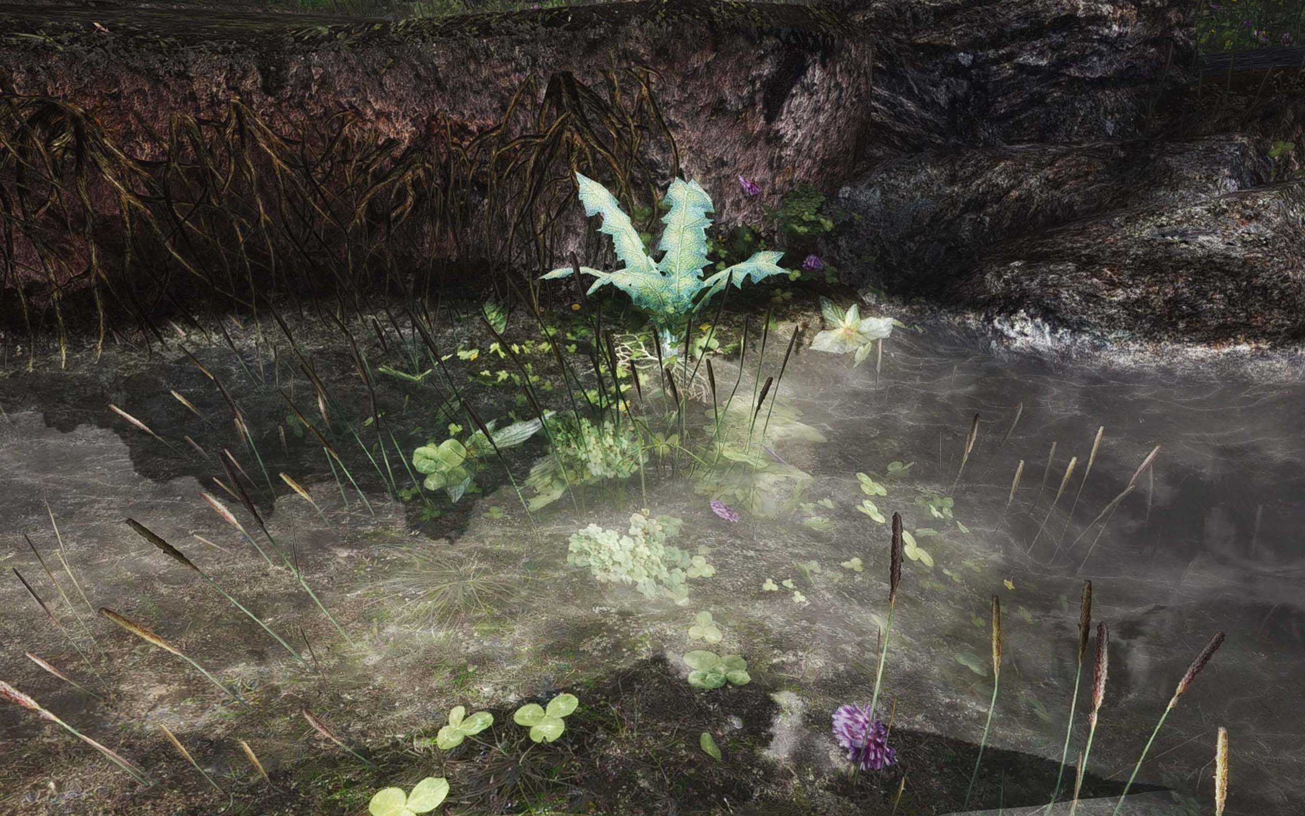 《上古卷轴5：天际》游戏场景壁纸(11)