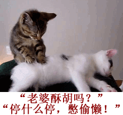 男人婚后的生活日常搞笑GIF(4)