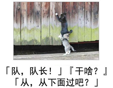 微博恶搞日式冷吐槽第五十三弹(13)