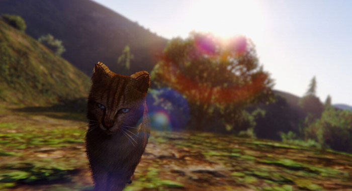 《GTA5》PC版最新精美截图(16)