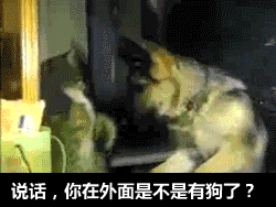 男人婚后的生活日常搞笑GIF(3)